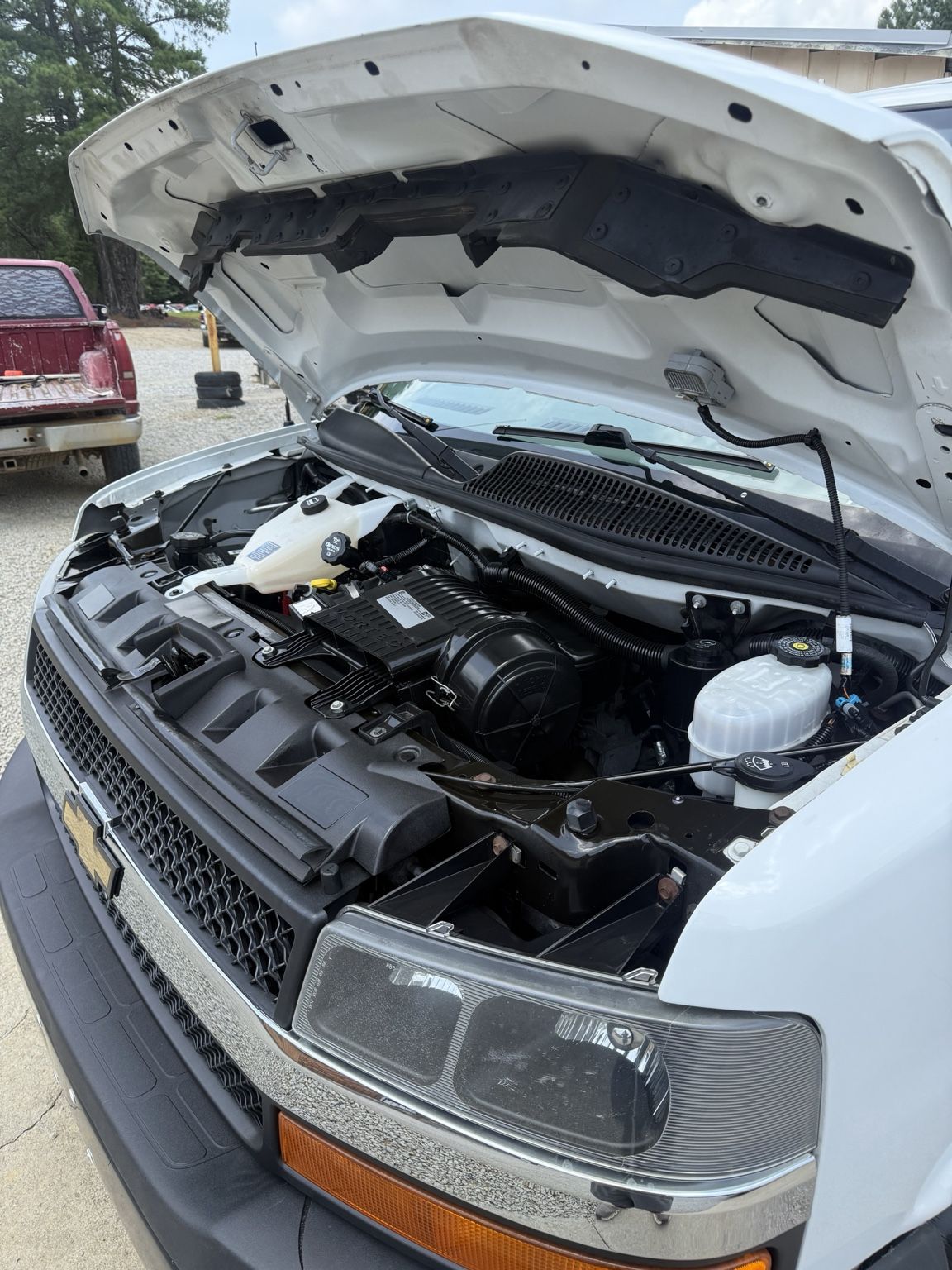 Engine bay after detailing